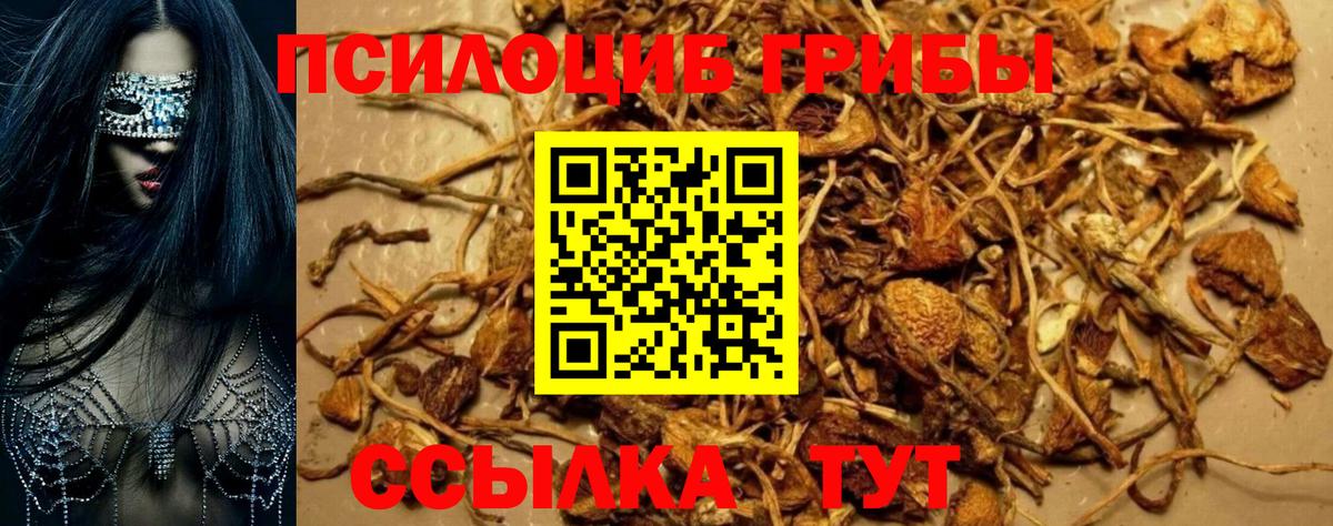 Уварово  Галлюциногенные грибы ЛСД  Вход с VPN 
